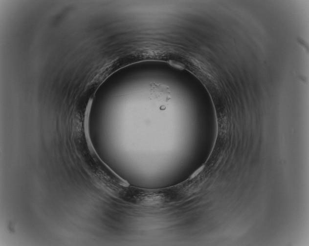 X0000091310456200708311400