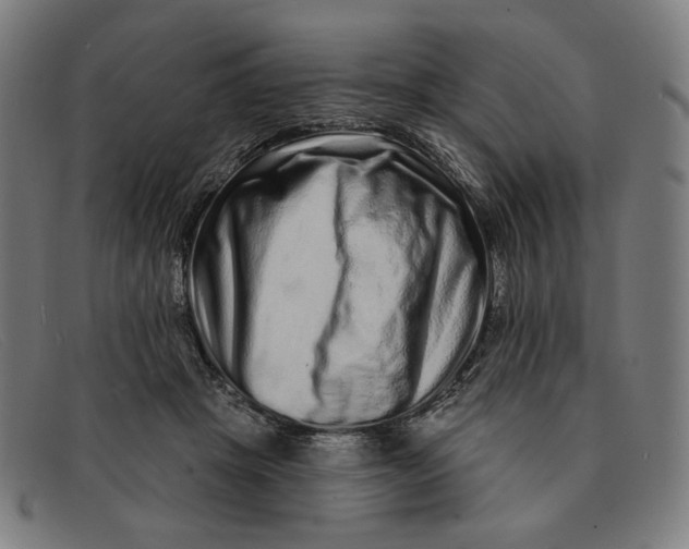 X0000091310457200708311400