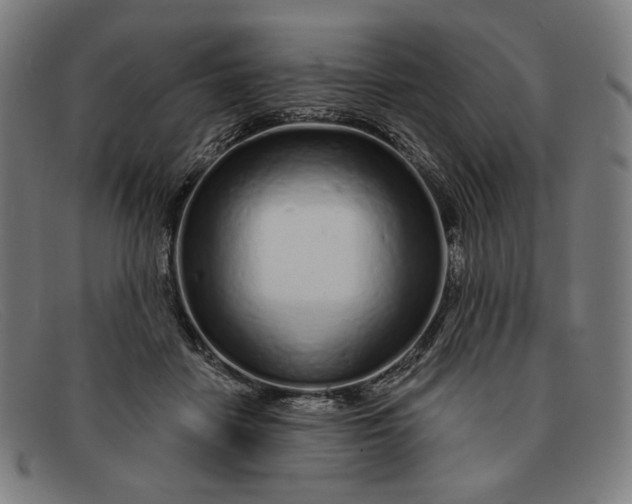 X0000091310458200708311400