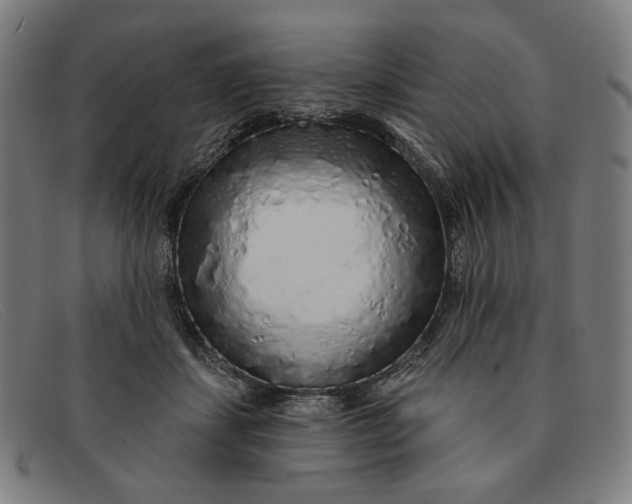 X0000091310459200708311400