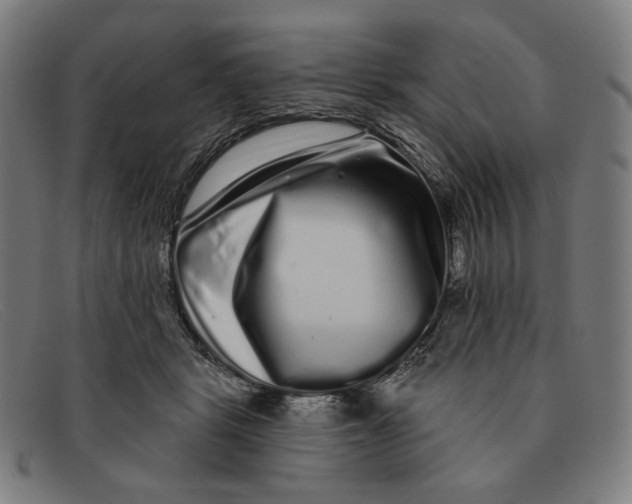 X0000091310461200708311400