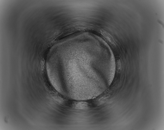 X0000091310463200708311400