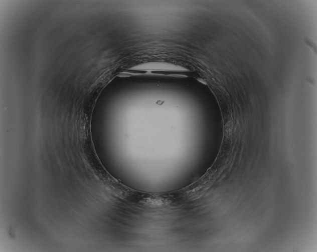 X0000091310464200708311400