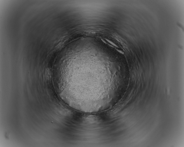 X0000091310467200708311400