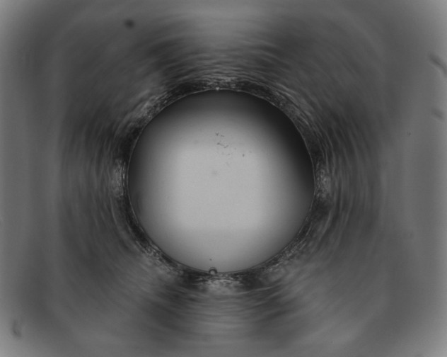 X0000091310468200708311400