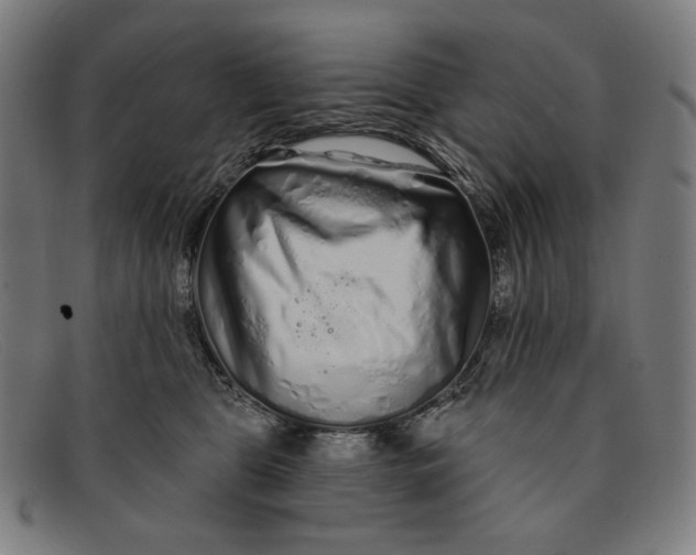 X0000091310469200708311400