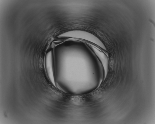 X0000091310470200708311400