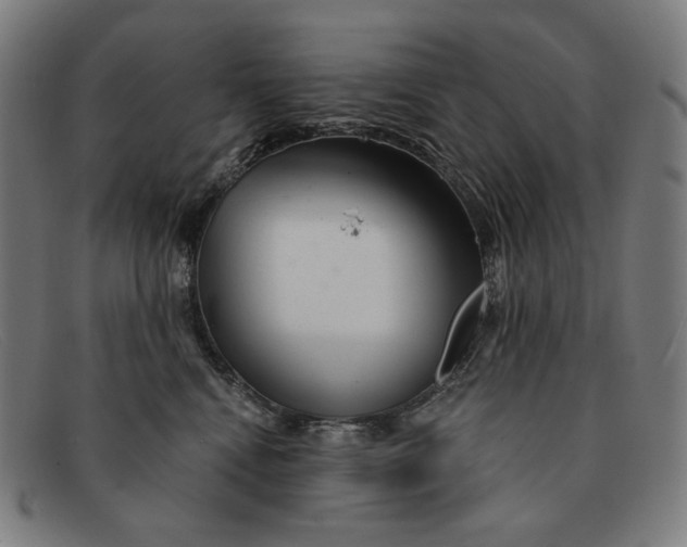 X0000091310472200708311400