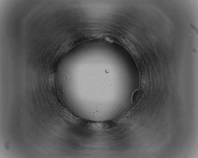 X0000091310473200708311400