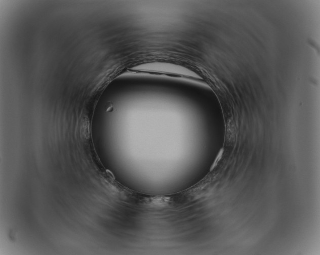 X0000091310474200708311400