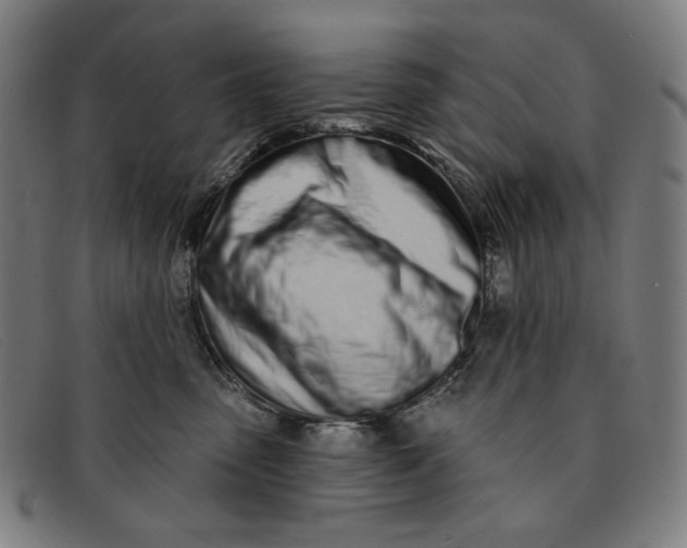 X0000091310475200708311400