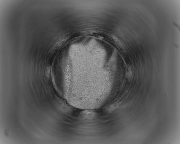 X0000091310477200708311400