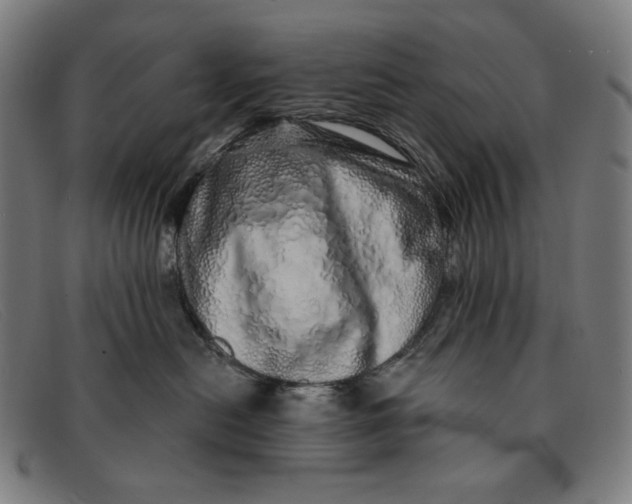 X0000091310478200708311400