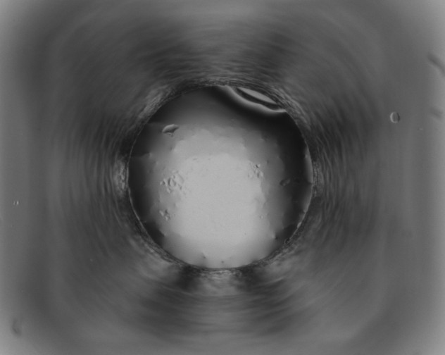 X0000091310479200708311400