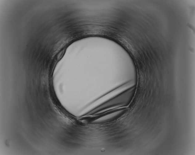 X0000091310482200708311400