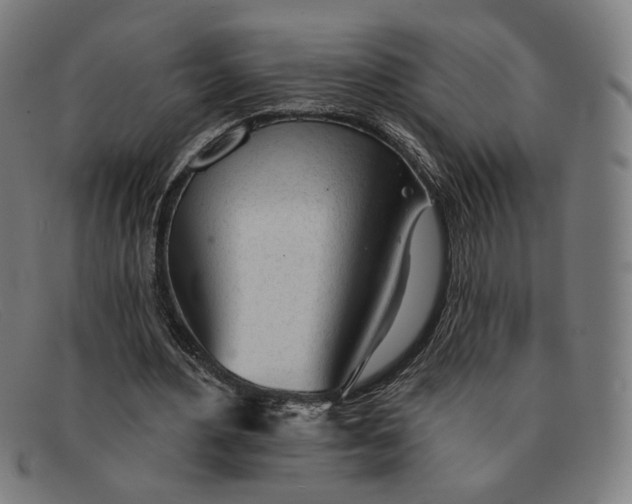 X0000091310484200708311400