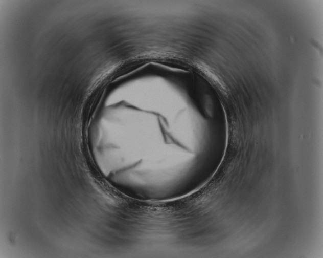 X0000091310486200708311400