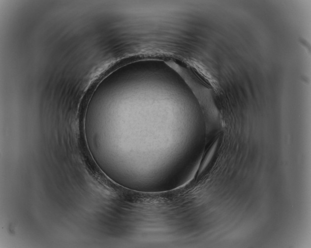 X0000091310488200708311400