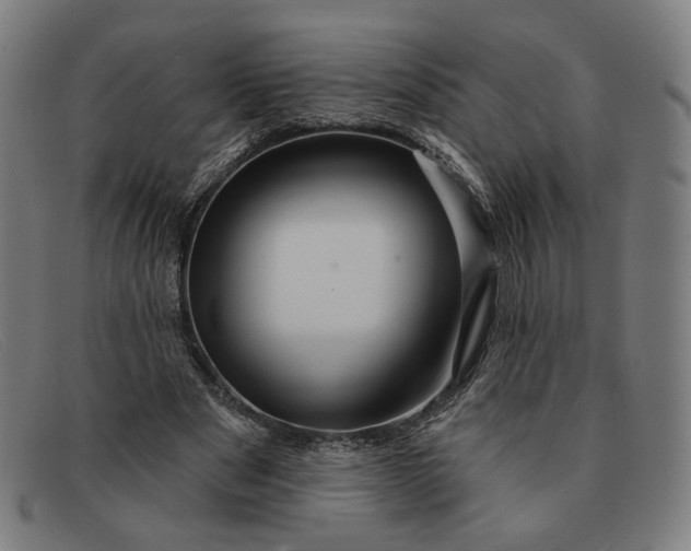 X0000091310489200708311400