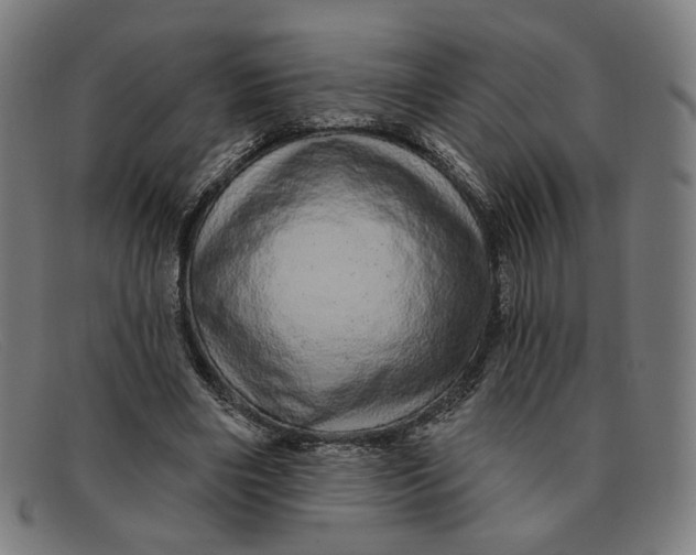 X0000091310490200708311400