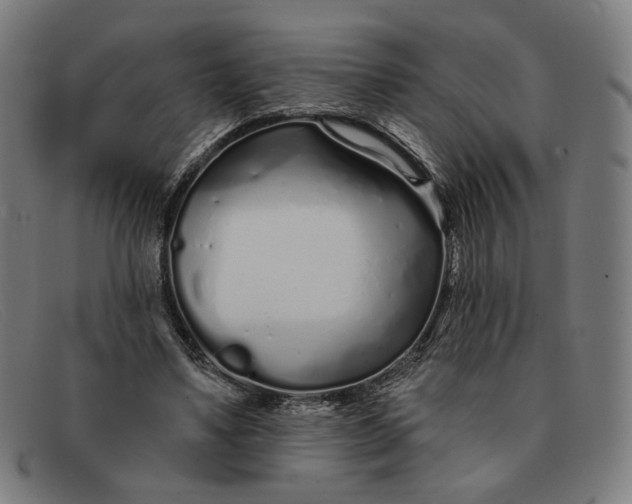 X0000091310491200708311400