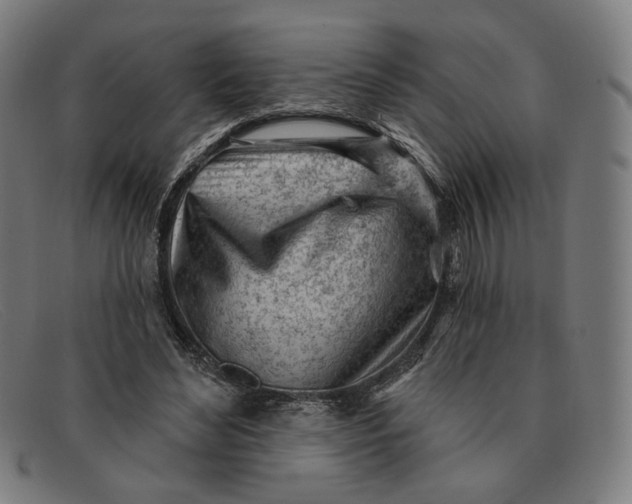 X0000091310492200708311359