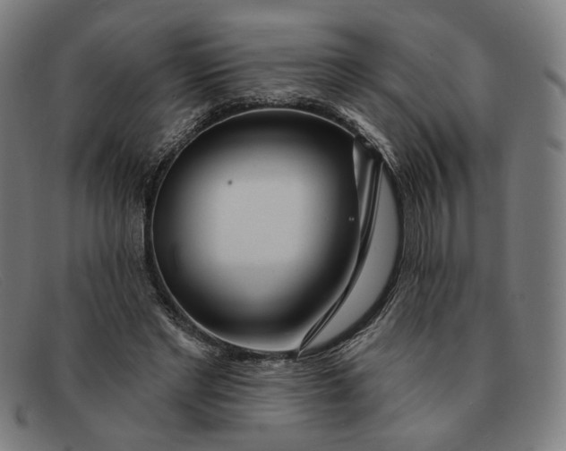 X0000091310493200708311359