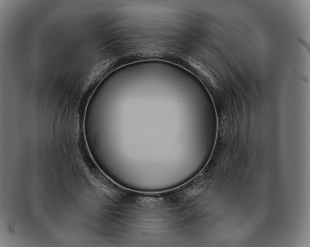 X0000091310494200708311359