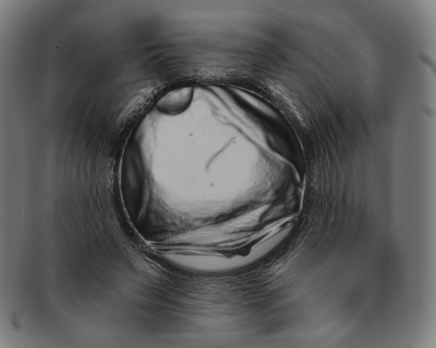 X0000091310495200708311359