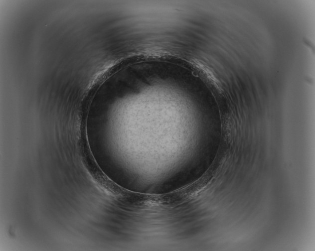 X0000091310496200708311359