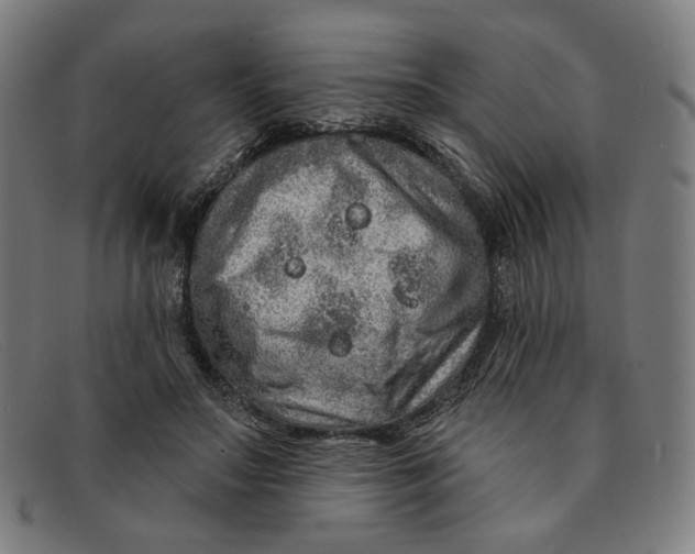 X0000091310499200708311359