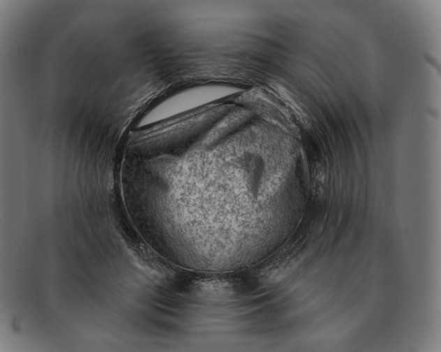 X0000091310500200708311359