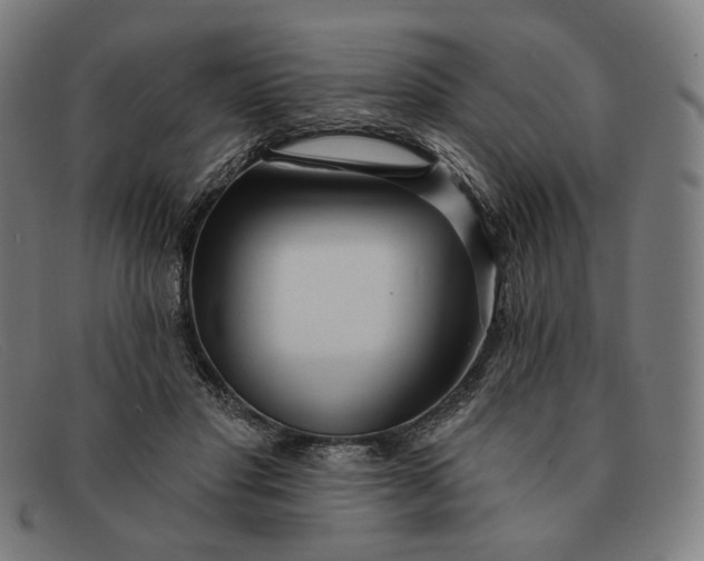 X0000091310501200708311359