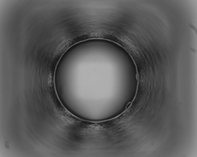 X0000091310502200708311359