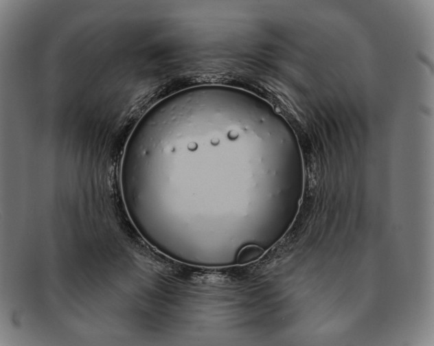 X0000091310503200708311359