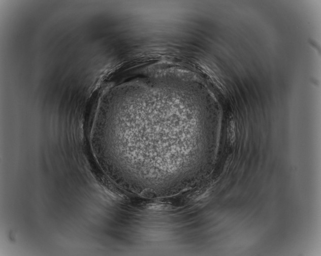 X0000091310504200708311359