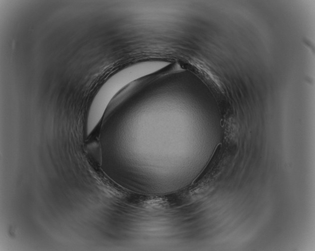 X0000091310505200708311359