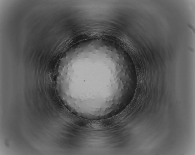 X0000091310506200708311359