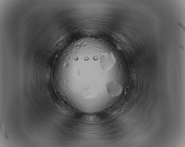 X0000091310507200708311359