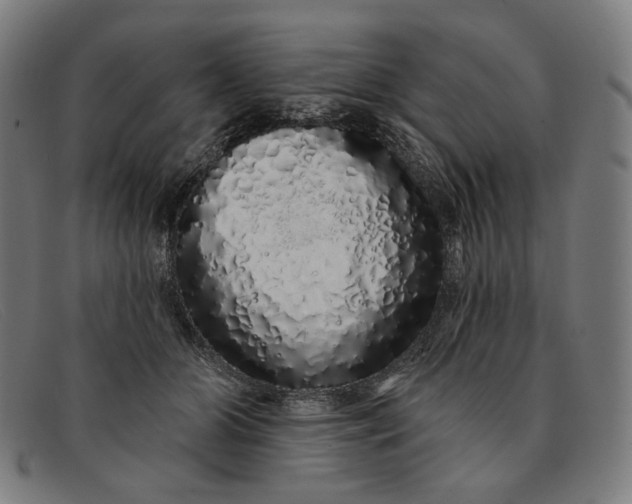 X0000091310510200708311359