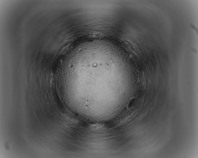 X0000091310511200708311359