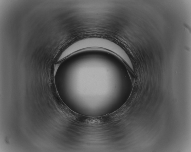 X0000091310512200708311359