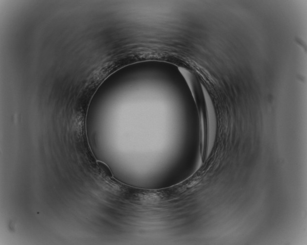 X0000091310513200708311359