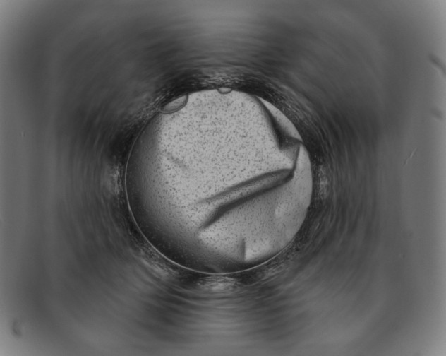 X0000091310514200708311359