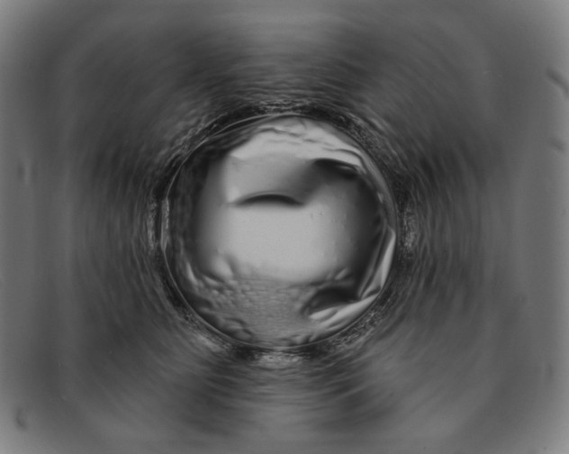 X0000091310515200708311359