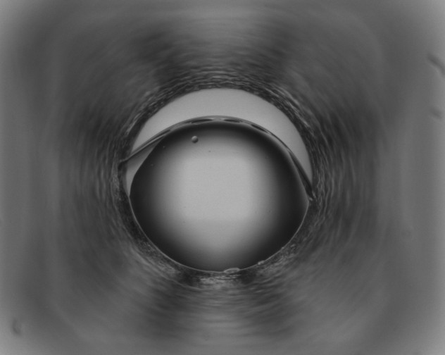 X0000091310516200708311359