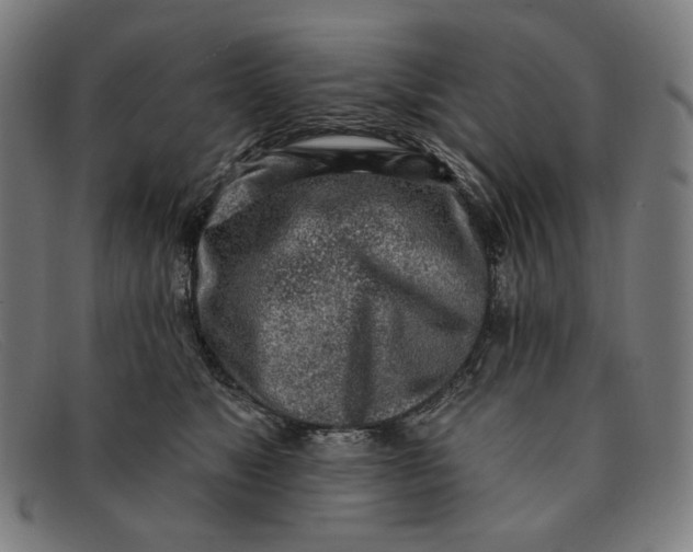 X0000091310517200708311359