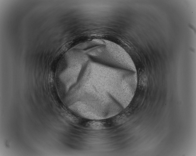 X0000091310518200708311359