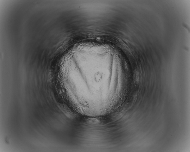 X0000091310519200708311359