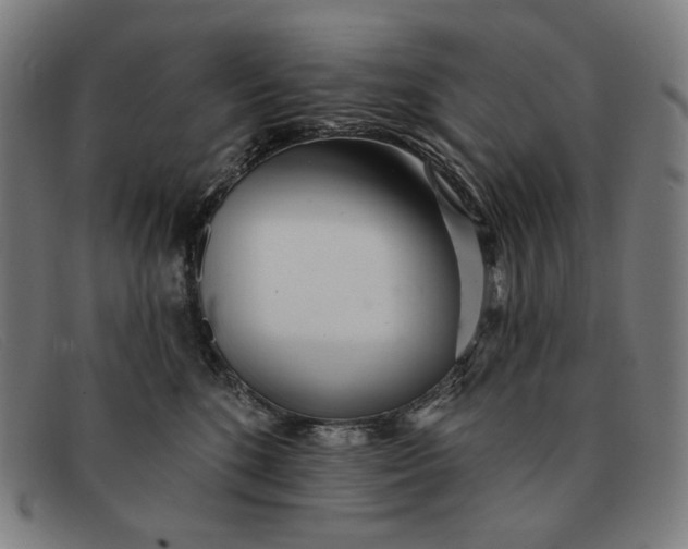 X0000091310520200708311359